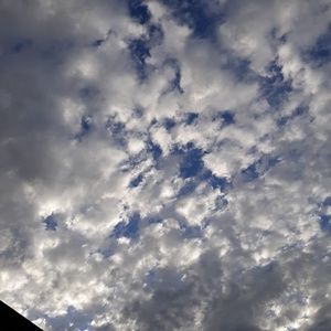 Meet your Posher, Katrina